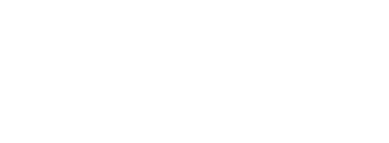 Raynet