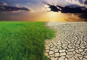 Technologies that will change the world: How to make the Sahara green again? Read about one of the best Startup Contest participants